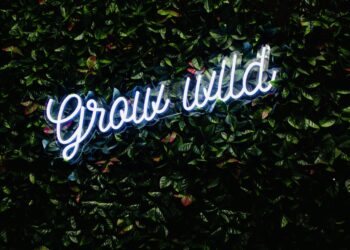I Stopped Playing the Credit Score Game and Started a Garden. Here’s How I Grew an 806 Score.