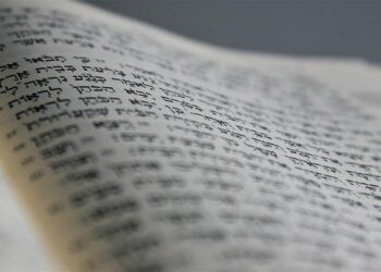 Beyond the Code: I Lost My Faith in the ‘Law,’ and Found It Again in the Wild