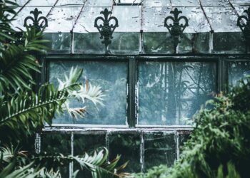 My Father’s Last Gift: A Greenhouse, a Blueprint, and the 10-Year Journey Through an Inherited IRA