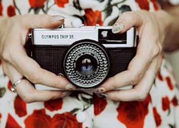 The Mycelial Mind: How I Used the Secrets of Fungi and Forgotten City Paths to Overcome Creative Burnout for Good