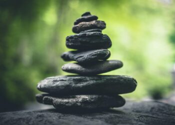 The Architect of Recovery: Why a Settlement Is Not a Solution, and How I Redesigned My Law Practice to Help Clients Truly Heal