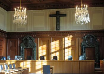 The Re-Examination: Why Understanding Appellate Courts is Less Like a Rematch and More Like a Medical Second Opinion