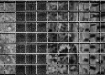 Contamination in the Concentrate: An Expert Analysis of Apple Juice Recalls and Food Safety Vulnerabilities in Global Markets