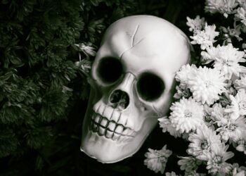 The Strategic Executor: A Definitive Guide to Transfer on Death (TOD) Accounts in Modern Estate Planning