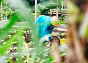Stop Paying So Much for Workers’ Comp: A Gardener’s Guide to Cultivating a Lower Premium