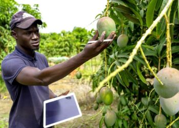 The Fallow Field Protocol: Beyond the 8-Hour Day—A New Paradigm for Sustainable Productivity