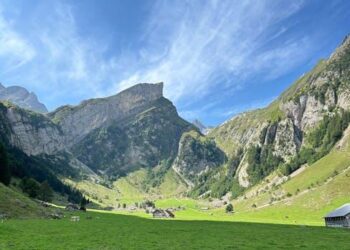 The Living Word: A Field Guide to Heirs, Successors, and the Ecology of Inheritance