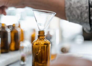 The Lexicon of Transference: An Analysis of ‘Inheritance’ and its Synonyms Across Domains