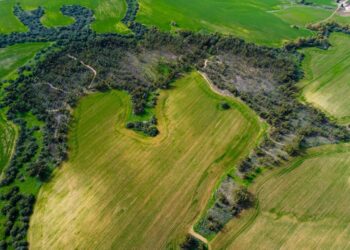 The Living Legacy: An Adaptive Stewardship Approach to Protecting Your Farm from Inheritance Tax