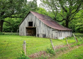 The Keystone Inheritance: My Journey Through Pennsylvania’s Tax Maze and the Guide I Wish I’d Had