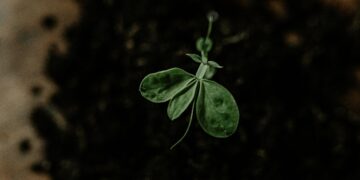 The Black Box Report: Transforming Incident Reporting from a Tool of Blame to an Engine of Growth