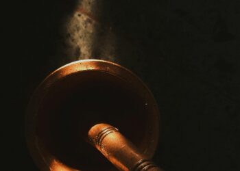 The Ecology of Justice: A Public Defender’s Journey from Burnout to a New Vision for American Law