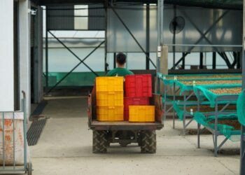 The Greenhouse and the Warehouse: A Journey Through the American Prison System and the Search for a Better Blueprint