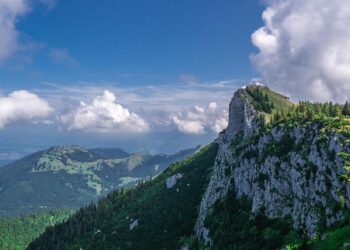 The Ecology of Bias: A Journey Beyond Good Intentions