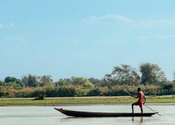 Beyond the Brochure: A Freelancer’s Guide to Choosing the Right Solo 401k Provider