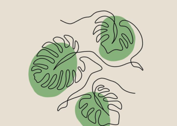 The Probate Blueprint: How Decommissioning a Factory Taught Me to Navigate Illinois Estate Law