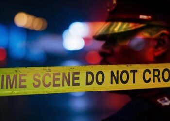 The Mycelial Network: A Fraud Analyst’s Chronicle of the War Against AI Criminals