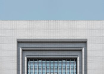 The Architect’s Blueprint: How I Stopped Fighting the Immigration System and Learned to Build My Way Through It