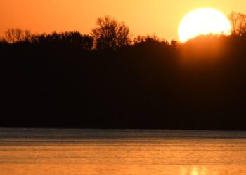 The Alabama Employer’s Definitive Guide to Salaried Employees: Navigating the FLSA in a Federal-Only State